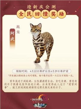 梦想天龙八部3私服